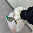 제주공항 게스트하우스: 가성비 ‘소담소담’ 파티 숙박 후기