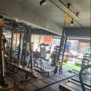 비플랜트