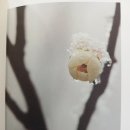 버들치도서관 | 책을 읽는데 자꾸만 눈물이 난다