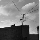 골목소경 - 217406 | 골목소경