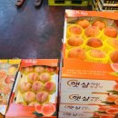 [가락시장 과일가게] 명절과일 제철과일 - 성은유통🍇🍓