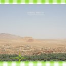 바른약국 | 로게인폼 약국 탈모 효과 부작용 가격 후기