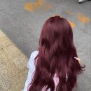 꾸미다헤어 - 서구 | 꾸미다헤어