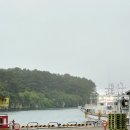 어부촌 | 제주 서귀포시 올레시장 갈치조림 맛집 어부촌 내돈내산 후기