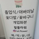 석산축산 | 양산꽃집 석산 랄플라워 꽃다발 기념일 여자친구 선물로 추천 (+가격)