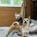 참쉼터