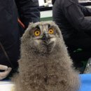 파스텔LC동물병원 이미지