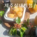 토토 | 제주 애월 실내체험 찾는다면? 토토아뜰리에후기(+예약방법,위치 총 정리)