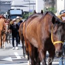무명축산