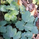 여유펜션 이미지