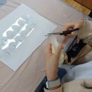 고실초등학교 | [스카이교육] - 고실초등학교 진로직업체험 2025.4.17