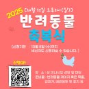 하늘이네 이미지