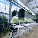 돌담농장 | [강원 춘천] 온실 식물원에서 힐링하며 즐기는 신북읍 ‘돌담카페(feat. 내돈내산)’