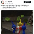 피크민블룸 하는 하준이 있냐 이미지