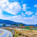 청계산수변공원 이미지