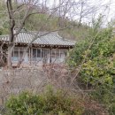 자양면-삼귀리-12