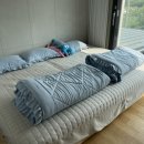 오션 브릿지 키즈 풀빌라 에이스 이미지