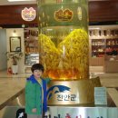 진안홍삼스파 이미지