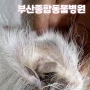 부산종합동물병원 이미지