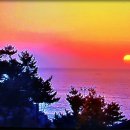 횃불약국 이미지