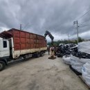 조이성인게임장 이미지