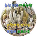 상월 농장 이미지