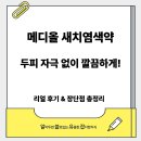 메디올 | 메디올 새치염색약 [후기·성분·장단점] 리얼 정리!