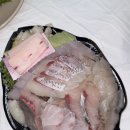 양 많고 두꺼운 노량진횟집 이레상회 제철모둠회 후기