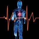 바이탈사인 이미지