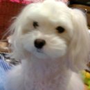 주공석사2지구 이미지