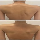 분당-146 이미지