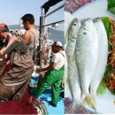 미력 농장 이미지