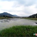 나주영상테마파크 Daum카페