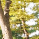 다온한방병원 이미지