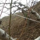 훈이네 농장 이미지