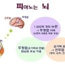 바하피아노학원 - 아산시 용연동길 10 | 바하피아노학원