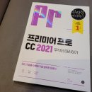 (주)비브스튜디오스 | 프리미어 프로 CC 2021 무작정 따라하기