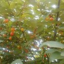 지산리 펜션 이미지