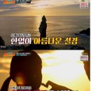 뽕따러가세 이미지