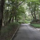 시민문화체육공원 산책로 이미지