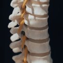 녹색로 41 이미지