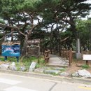 서포리웰빙산책로 (덕적도) 티스토리