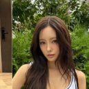 이영애농장 이미지