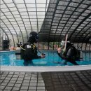 다이브 자이언트 제주 | 제주 스쿠버 자격증 교육 후기 : PADI 오픈워터 3일간의 성장 기록