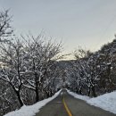 수레의산자연휴양림 이미지