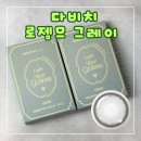 젬므 | 다비치 라이트 로젬므 그레이 내돈내산 솔직후기