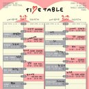 김필헤어 | [페스티벌] 썸데이페스티벌 2025 week2 혼자 가서 즐긴 꿀팁
