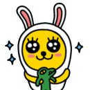 신디아일랜드