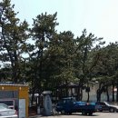 알펜옥비치 이미지