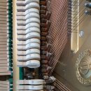 영창식당 이미지